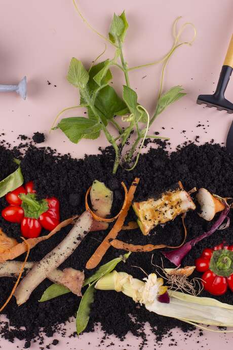 Tous au compost ! - Cité des Électriciens