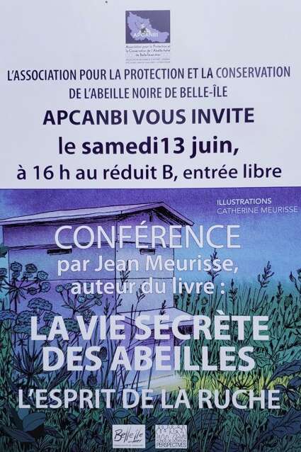 Conférence : la vie secrète des abeilles