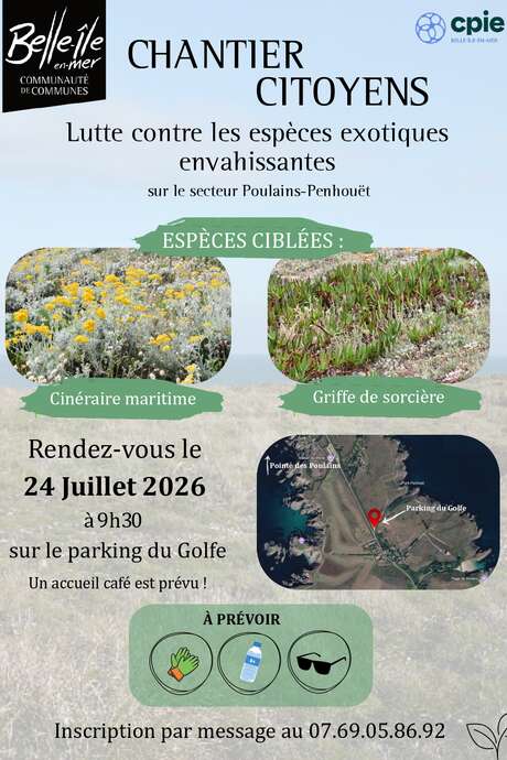 Chantier “citoyen” sur les plantes invasives