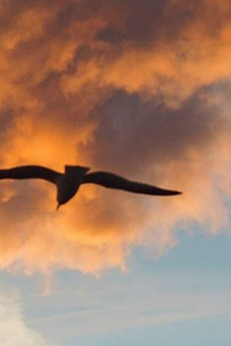 Printemps des poetes : Atelier "Goûtez la poésie"