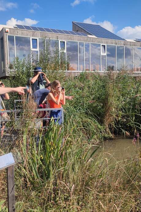 Animation nature "Des petites bêtes sous nos pieds"