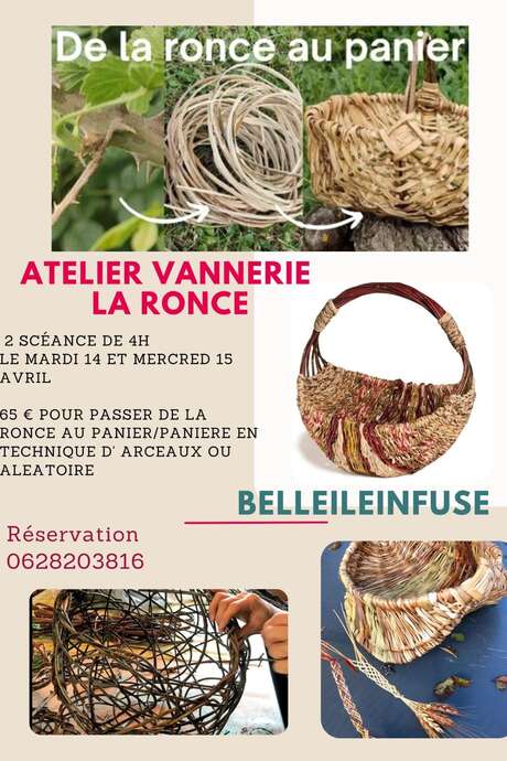 Atelier vannerie : de la ronce au panier
