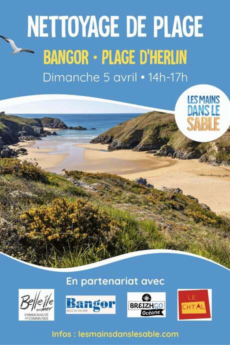 Nettoyage de plage : Herlin & Baluden