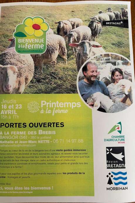 Bienvenue à la ferme : visite guidée immersive à la ferme des brebis