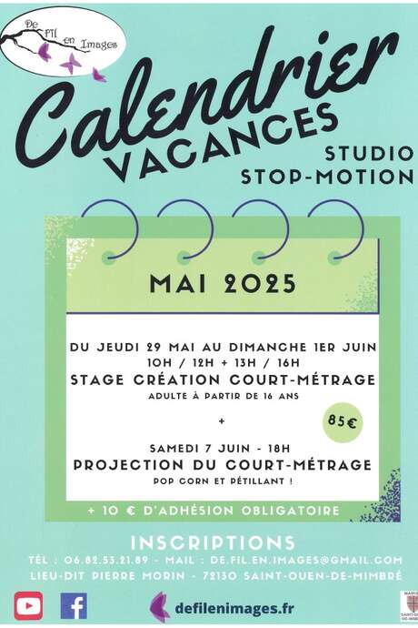 Stage stop-motion adulte Stage stop-motion adulte