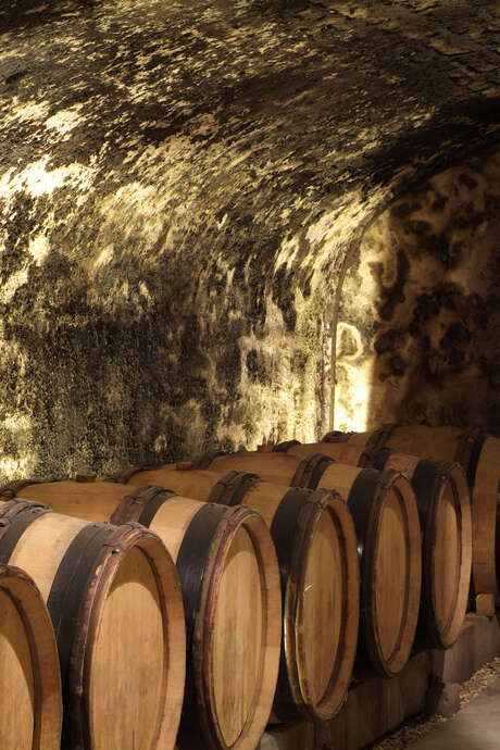 Hôtel-Dieu - Hospices de Beaune - Ateliers des sens, Arômes des caves de l'Hôtel-Dieu