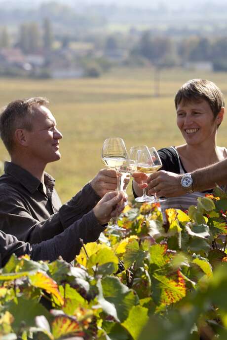 Balade entre vignes et vins Balade entre vignes et vins