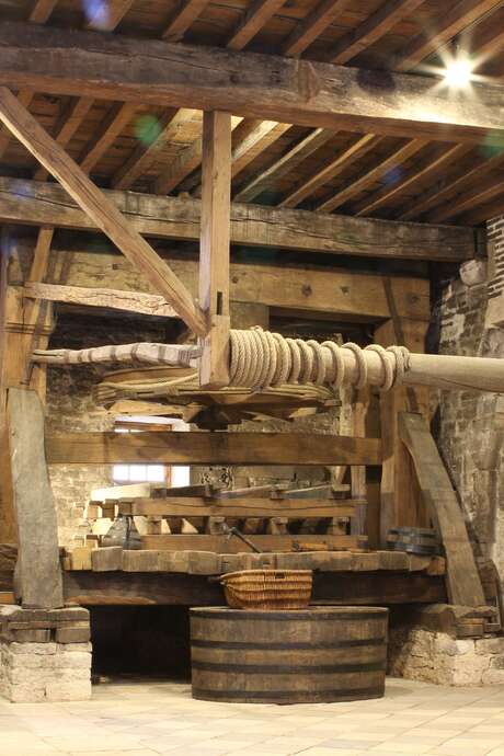 Beaune underground - Entre divin et vin Beaune underground - Entre divin et vin