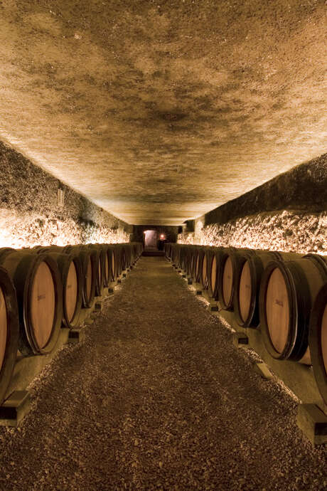 Dégustation Vente des Vins Grands Crus Dégustation Vente des Vins Grands Crus