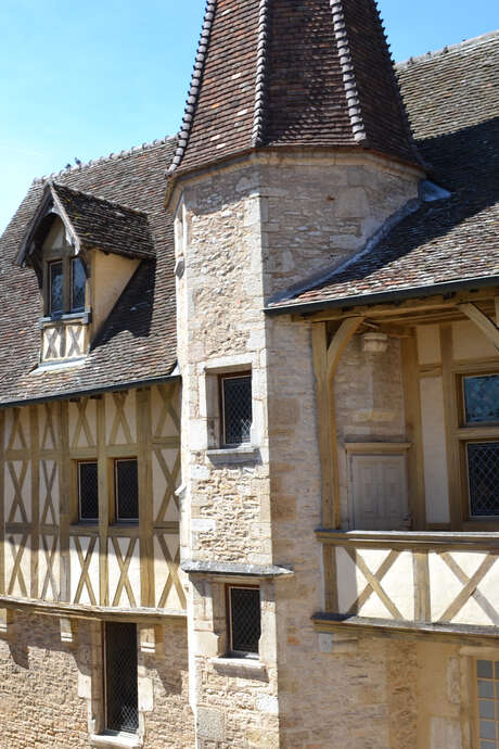 Visite commentée : l'histoire de la Bourgogne viticole