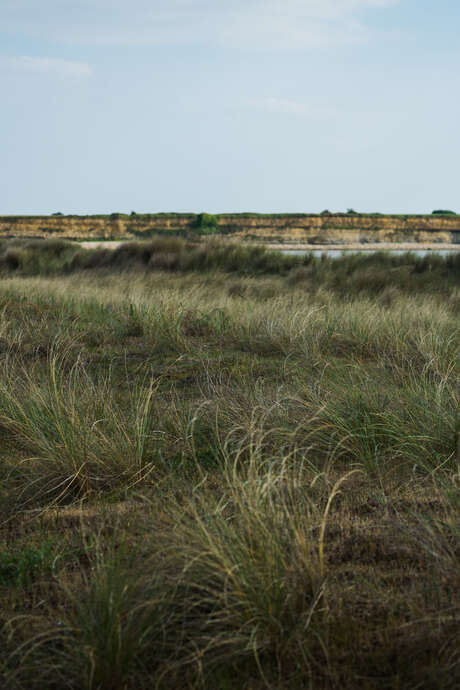 Geführte Besichtigung: Die 4 Jahreszeiten des Naturparks Marais d'Yves