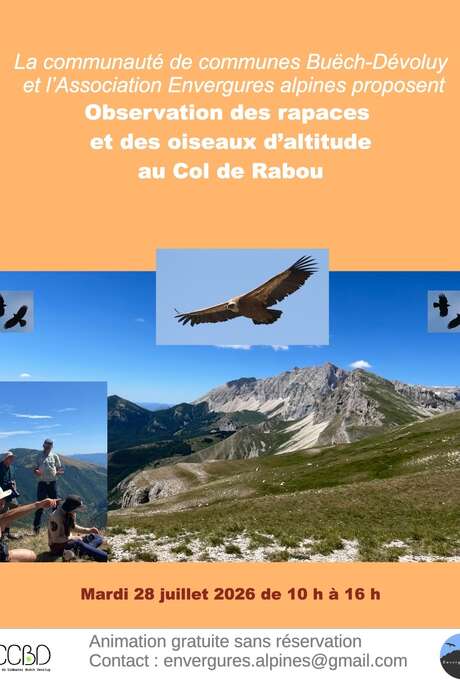 La Grande Évasion - Observations des Grands Rapaces avec  Envergure Alpine