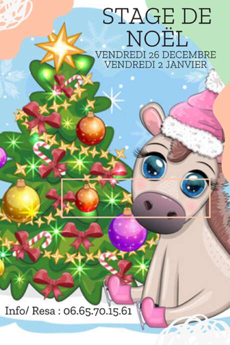Stage de Noël "autour des poneys" spécial enfants de 4 à 11 ans