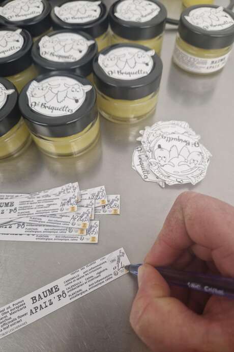 Atelier De la plante à ta peau - par O2 Briquettes