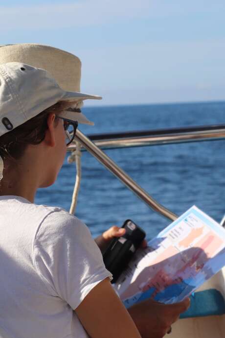 Sea Days - Exploring the French-Italian Coastline