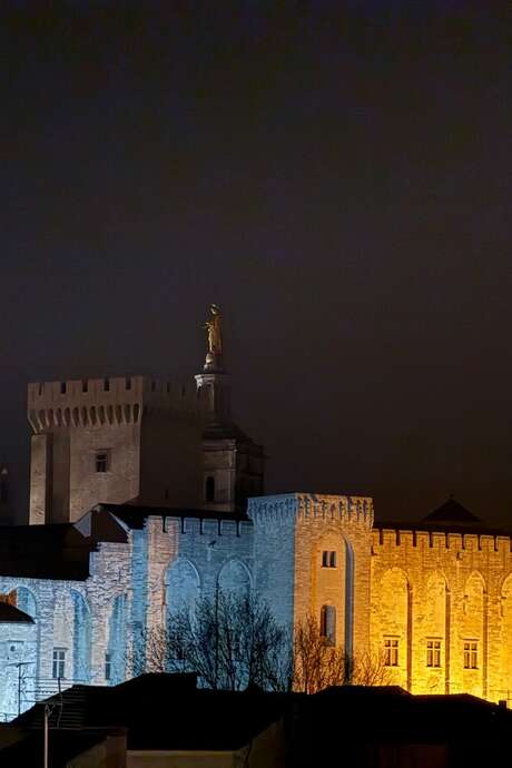 Notte Europea dei Musei ad Avignone