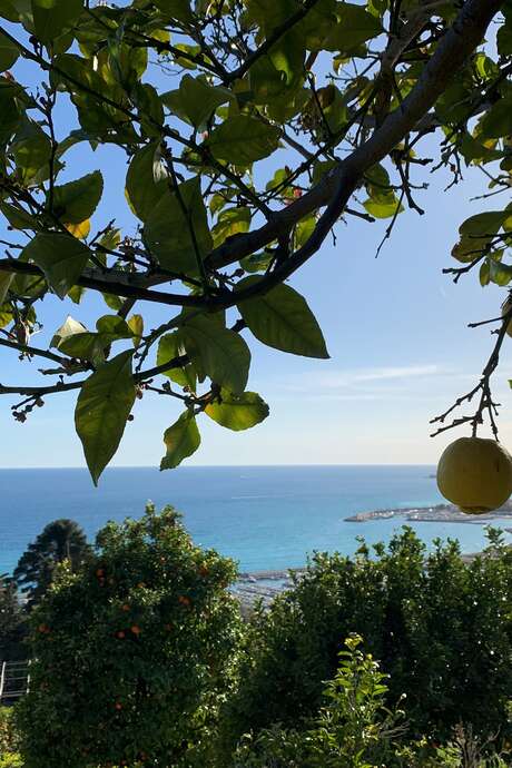 92ème Fête du Citron® - Excursion : Visite guidée de la Casetta