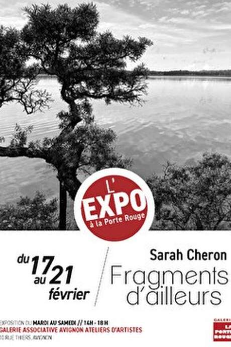 Fragments d'ailleurs - Sarah Cheron