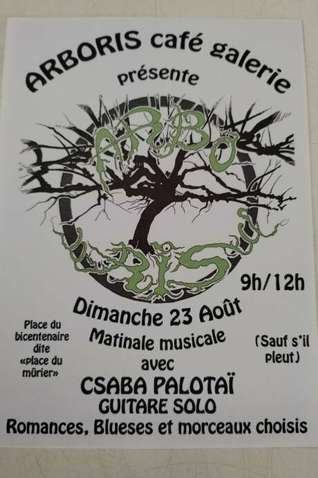 Matinale musical avec Csaba Palotaï