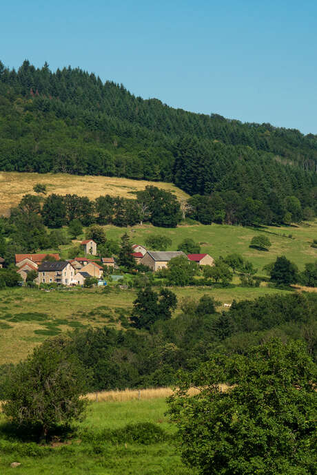 Randonnée gourmande à Châtel-Montagne – Dégustation de fruits et légumes (près de Vichy, Allier)