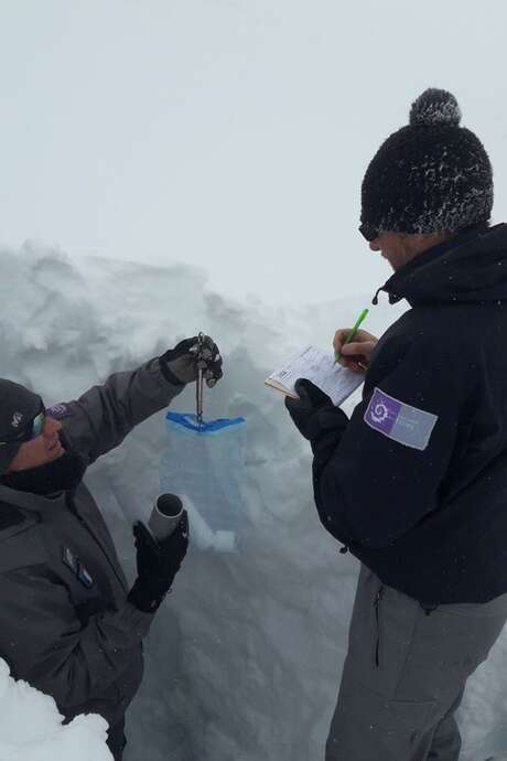Le suivi du manteau neigeux : sondage par battage