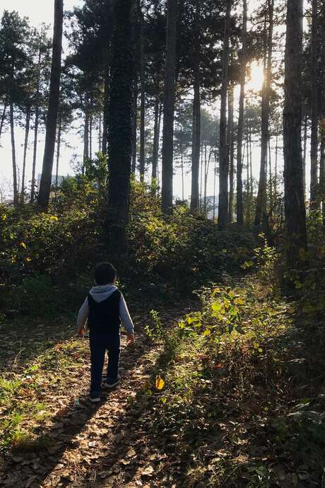 La biodiversité depuis les sentiers