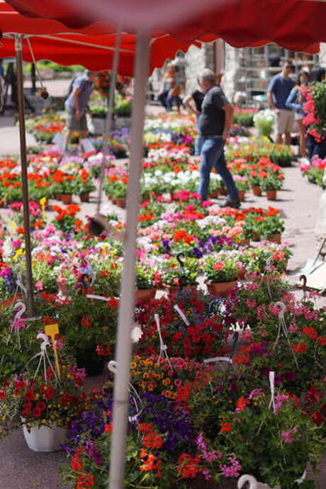 Flower Market
