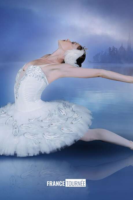 Le lac des cygnes