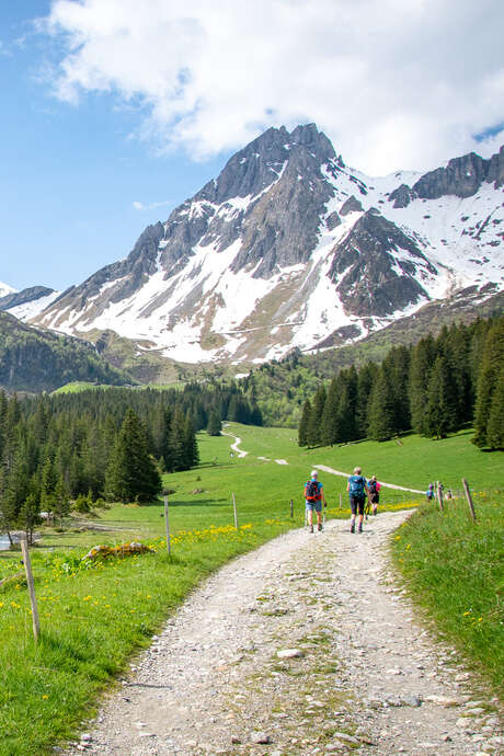 Une montagne à partager : rencontre avec l'animateur