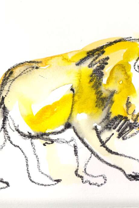 Spectacle pour enfants : Le carnaval des animaux