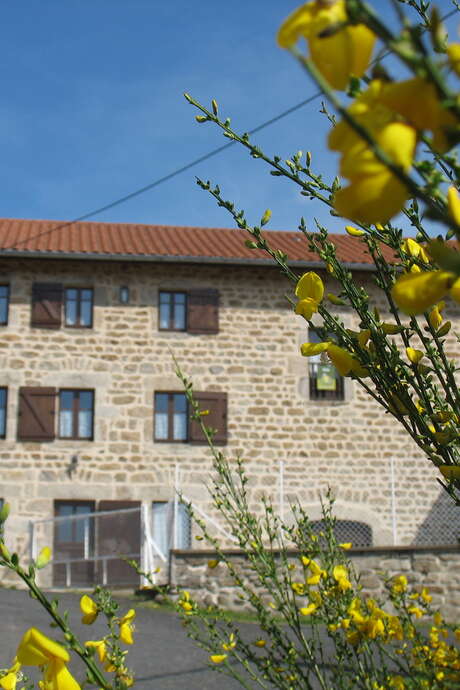 Gîte les Jonquilles