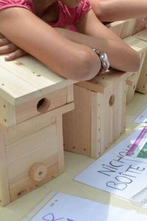 Atelier fabrication nichoir