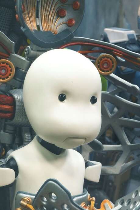 Cinéma : Junk World