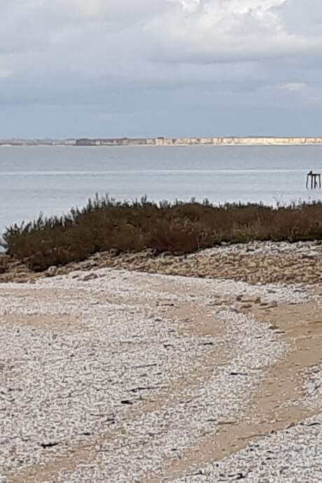 La baie d'Yves au fil des Temps - Les Temps modernes