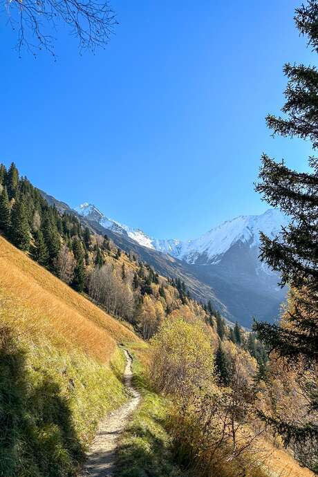 Les chalets de Miage au départ du Champel