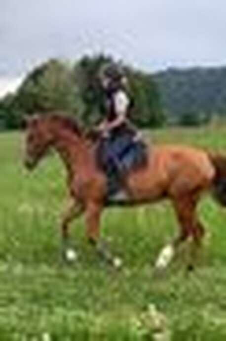 Stages d'équitation - vacances de printemps