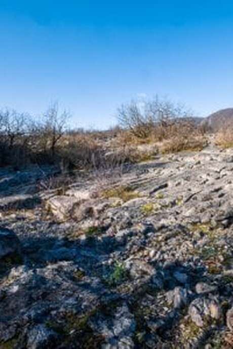 Tous au Fierloz  (à partir de 5 ans) - Maison du Marais de Lavours