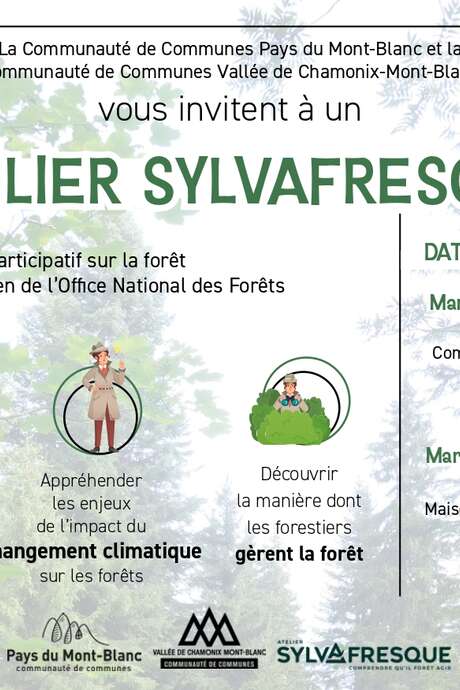 Atelier Sylvafresque - Comprendre les forêts