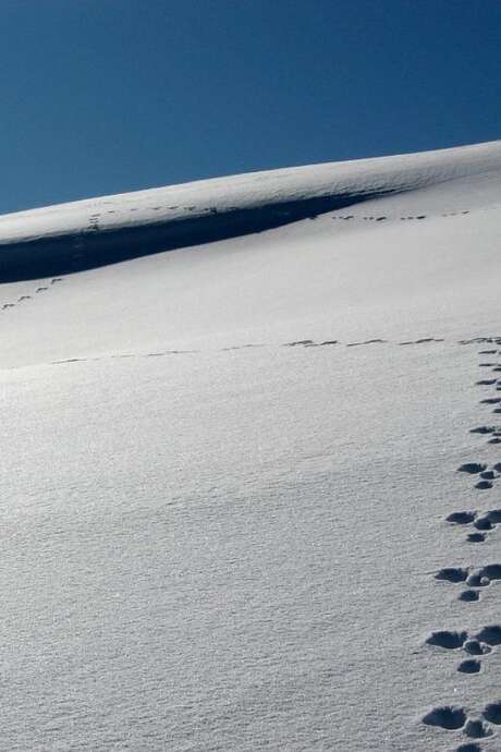 Atelier traces du Parc national des Ecrins