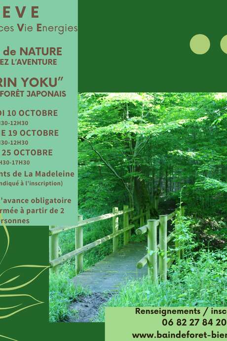 "SHINRIN YOKU" bain de forêt Japonais