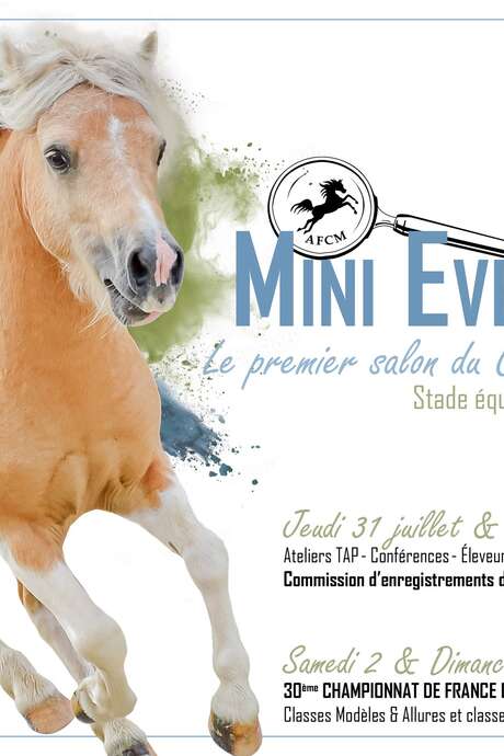 Mini Event 2025