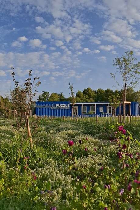 Visite guidée de la forêt enchantée