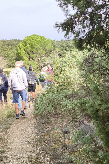 Les Bouscatiers et la forêt