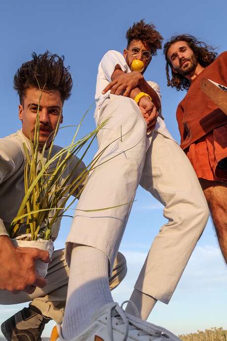 Mellow Yellow • Collectif TBTF