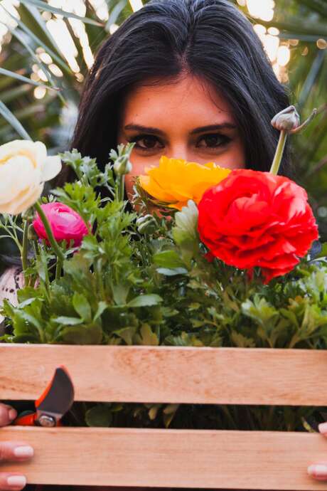 Balade et création autour des fleurs urbaines