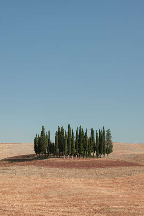 Exposition «Metamorphosis»