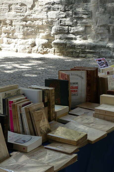 Mercato del libro del Festival di Avignone