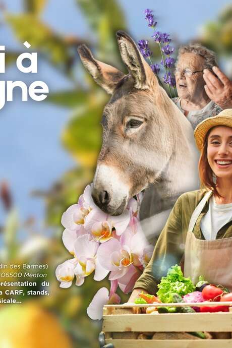Un Samedi à la campagne