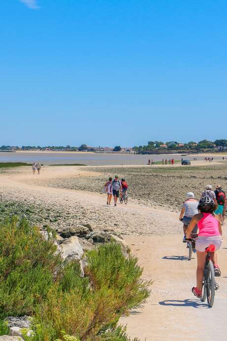 L'île Madame sans voiture
