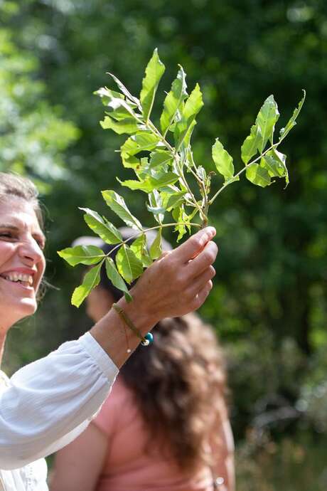 Animation scientifique balade contée : arbres, plantes et lac !